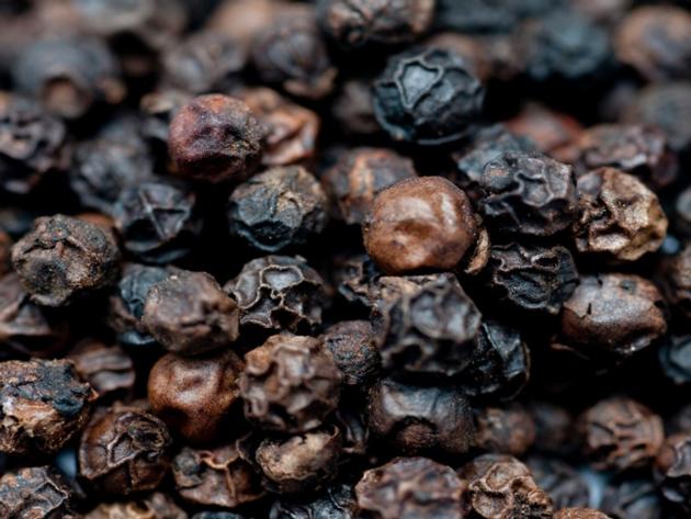 Black Pepper BLACK PEPPER 500-550-580G/L Spicy Black Pepper Supplier