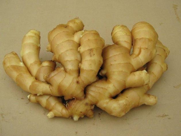 Organic Fresh Ginger Price Fresh Ginger