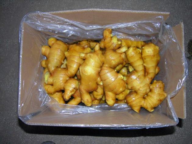 organic fresh ginger price, fresh ginger exporter