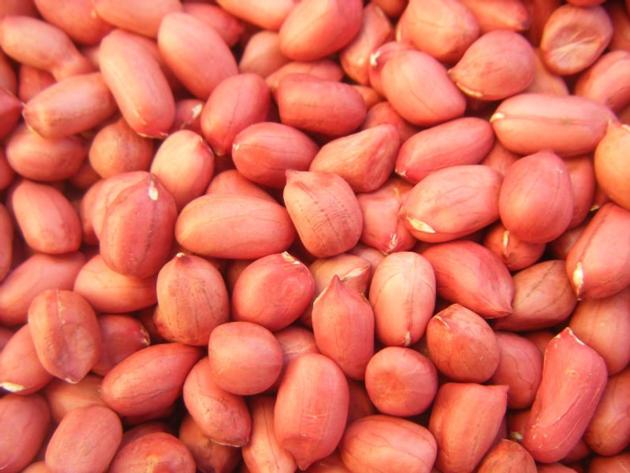 Raw Peanuts Red Skin Peanuts Bold