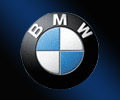 B.M.W. Engine Valve - Everphone