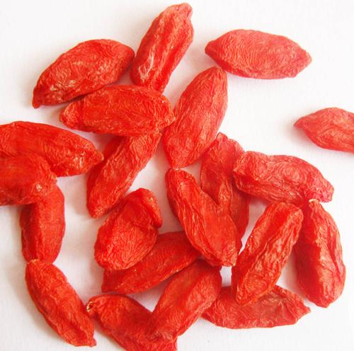 wolfberry, goji berries