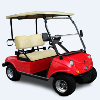 golf cart traveller 2 passengers
