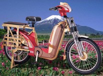 Electric motorbike LC-EM-20103