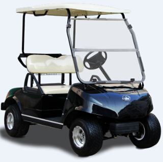 golf cart basic econ 2 passengers