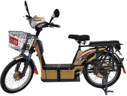 Electric scooter LC-EM18