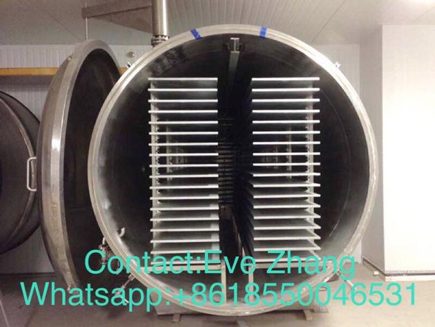 coffee freeze dryer