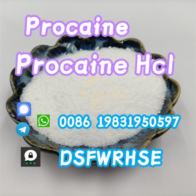  Procaine Hydrochloride Powder 59-46-1