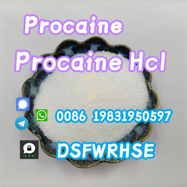 Cas:59-46-1 factory procaine,procaine powder favorable price safe delivery 