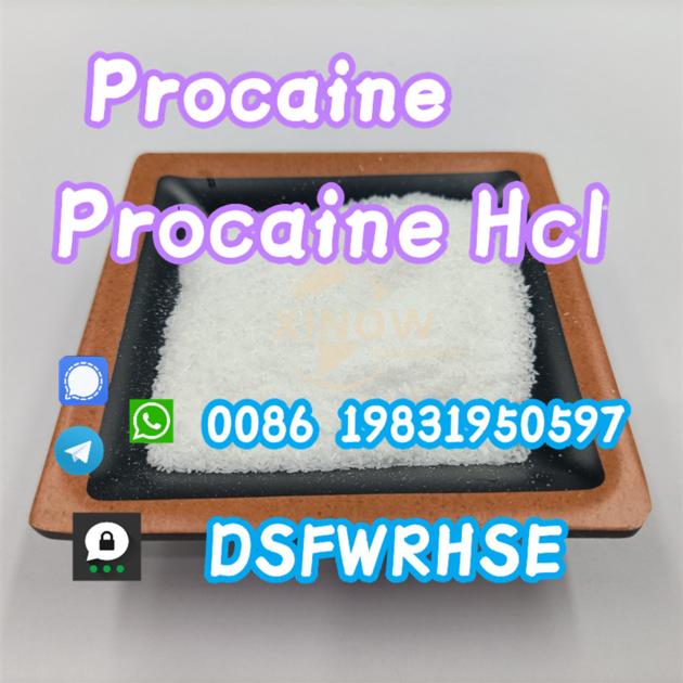 Procaine Hydrochloride Powder 59 46 1