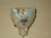 Projector Lamp (NSH/ UHP/ VIP)20090803