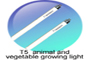 T5 vegetable and animal growing lamp