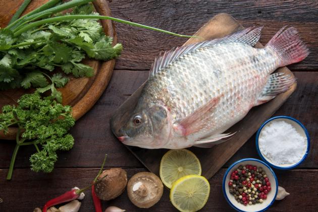 Fresh Nile Tilapia Fish