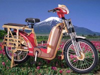 Electric motorbike LC-EM-20105