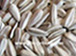 white sunflower seeds