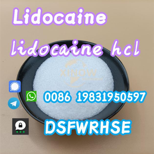 High Purity Procaine HCl Powder CAS