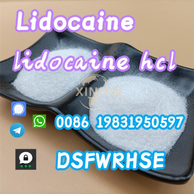 High Purity Procaine HCl Powder CAS 59-46-1 Procaine Hydrochloride for Pain Killer 