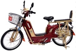 Electric scooter LC-EM-20091114