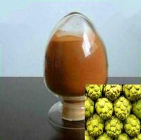 Artichoke Extract 5% manufacturer