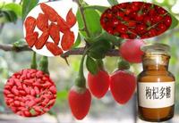 Pure Natural Wolfberry P.E.
