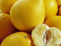 Grapefruit Extract 