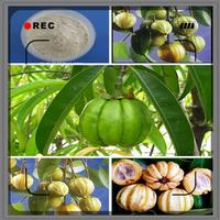 Garcinia Cambogia Extract