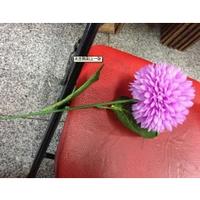Single 20 ears chrysanthemum 