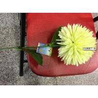 Single 24 ears chrysanthemum 