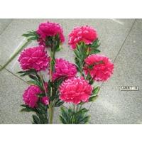  Three big peony flowers 