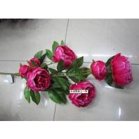 9.00 7 head camellia tree peony 