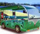 electronic sightseeing car