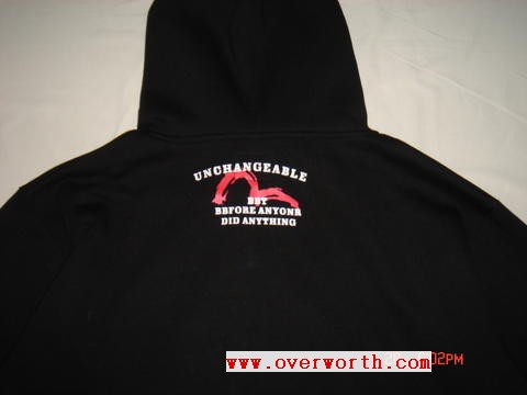 evisu hoodies
