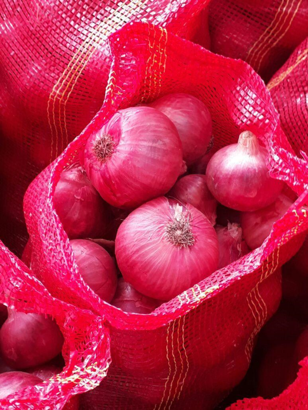 Fresh Red Onions