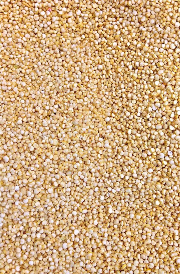 Organic Quinoa