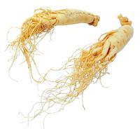 Ginseng Extract 