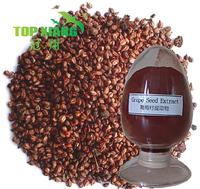 Grape Seed P.E.