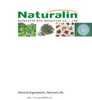 Chrysanthemum Extact 