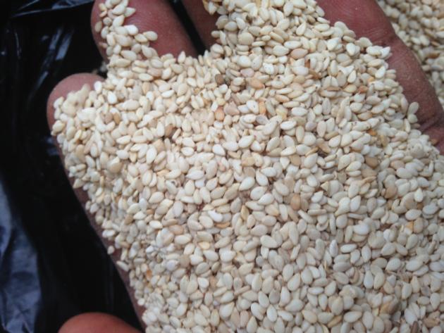 Natural White Sesame Seeds