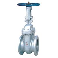 gate valve