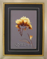 needle embroidery