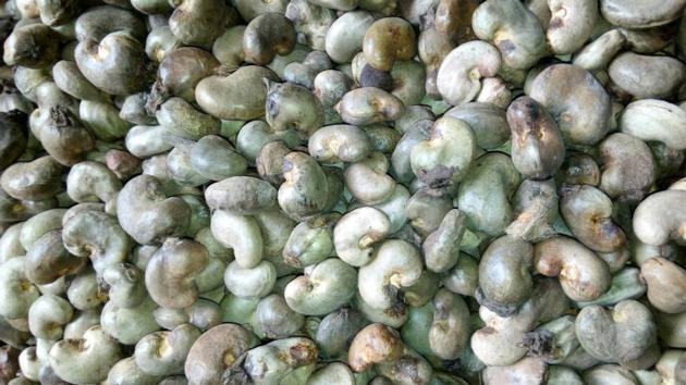 Raw Cashew Nuts