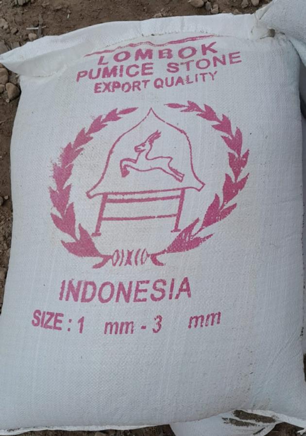 Pumice Stone