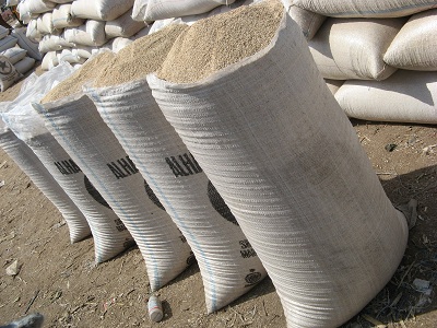 Natural White Sesame Seeds