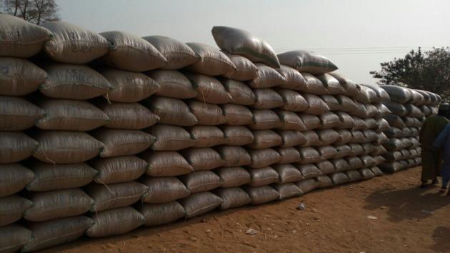 Cocoa Beans