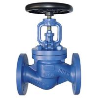 DIN Globe Valve
