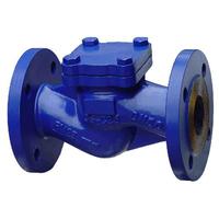 DIN lift check valve