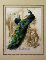 hand embroidery