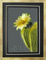 embroidery
