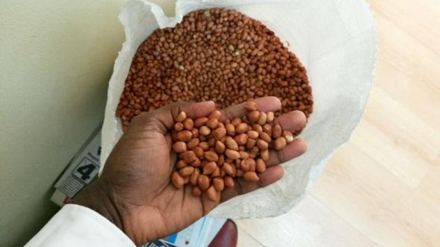 Spanish Peanuts