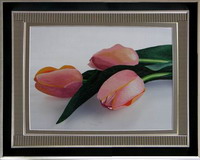 customer embroidery